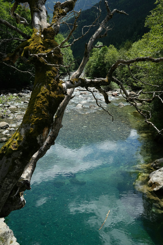 五參數(shù)自動(dòng)監(jiān)測(cè)儀 五參數(shù)自動(dòng)監(jiān)測(cè)儀